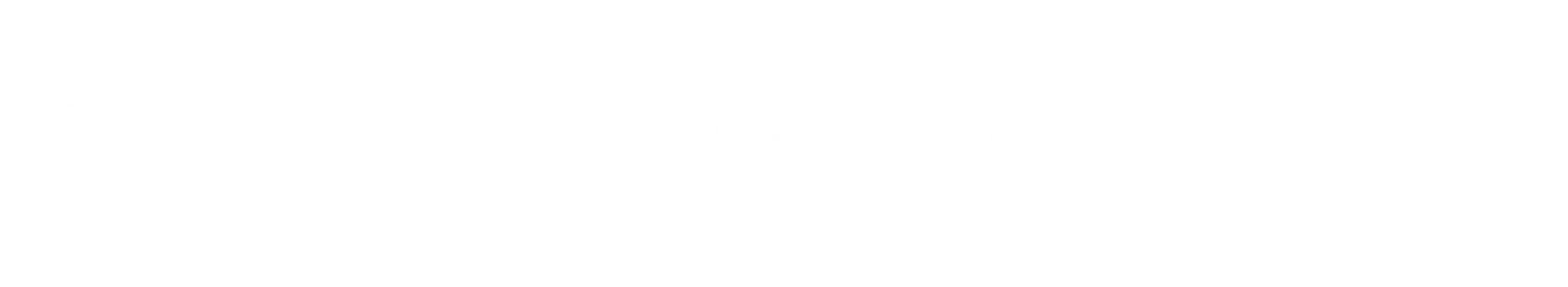 Blue Minimal Travel Business Logo