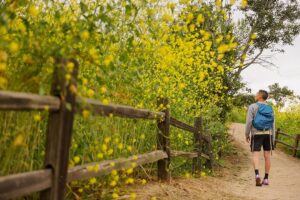 7+ Fun Things to Do in Buena Park CA » Local Adventurer » Travel Adventures in Las Vegas + World Wide